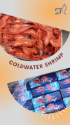 Coldwater Shrimp 